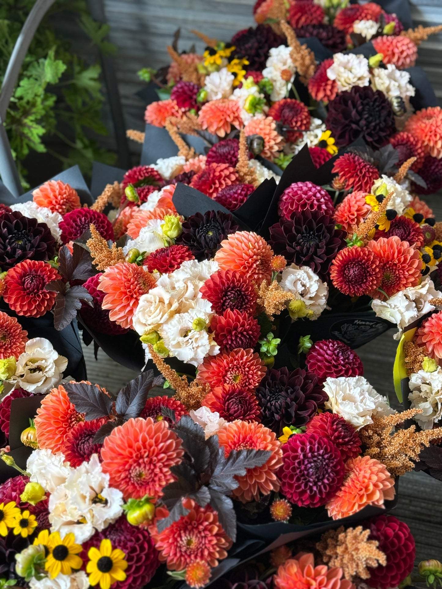 A Full Season of Hard Scrabble - 2026