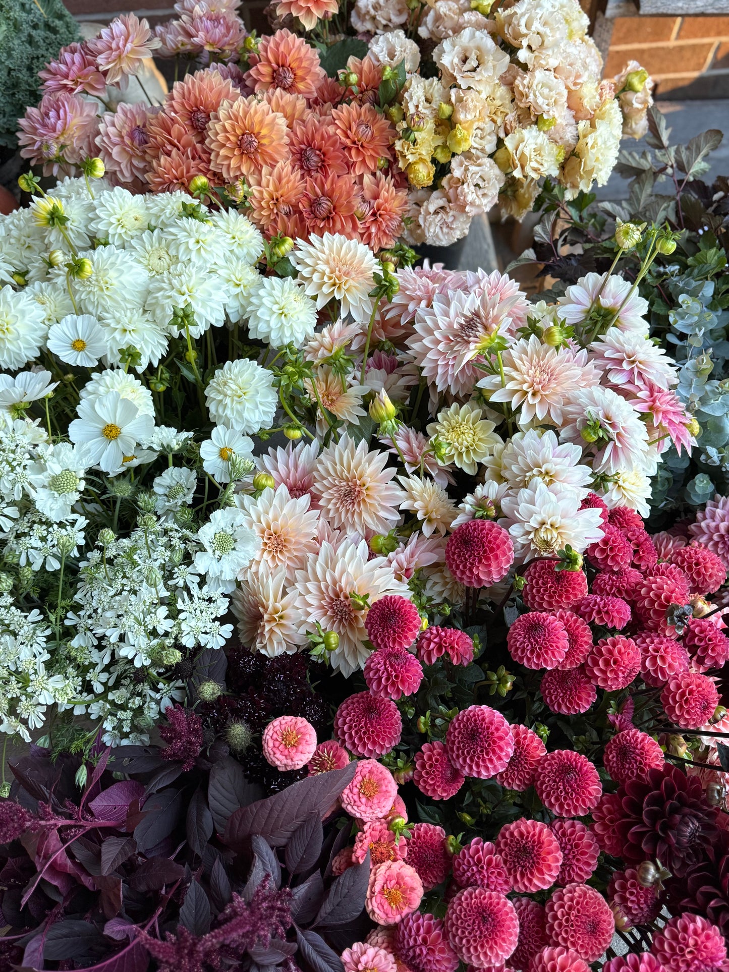 The Creator’s Bucket Subscription 2026