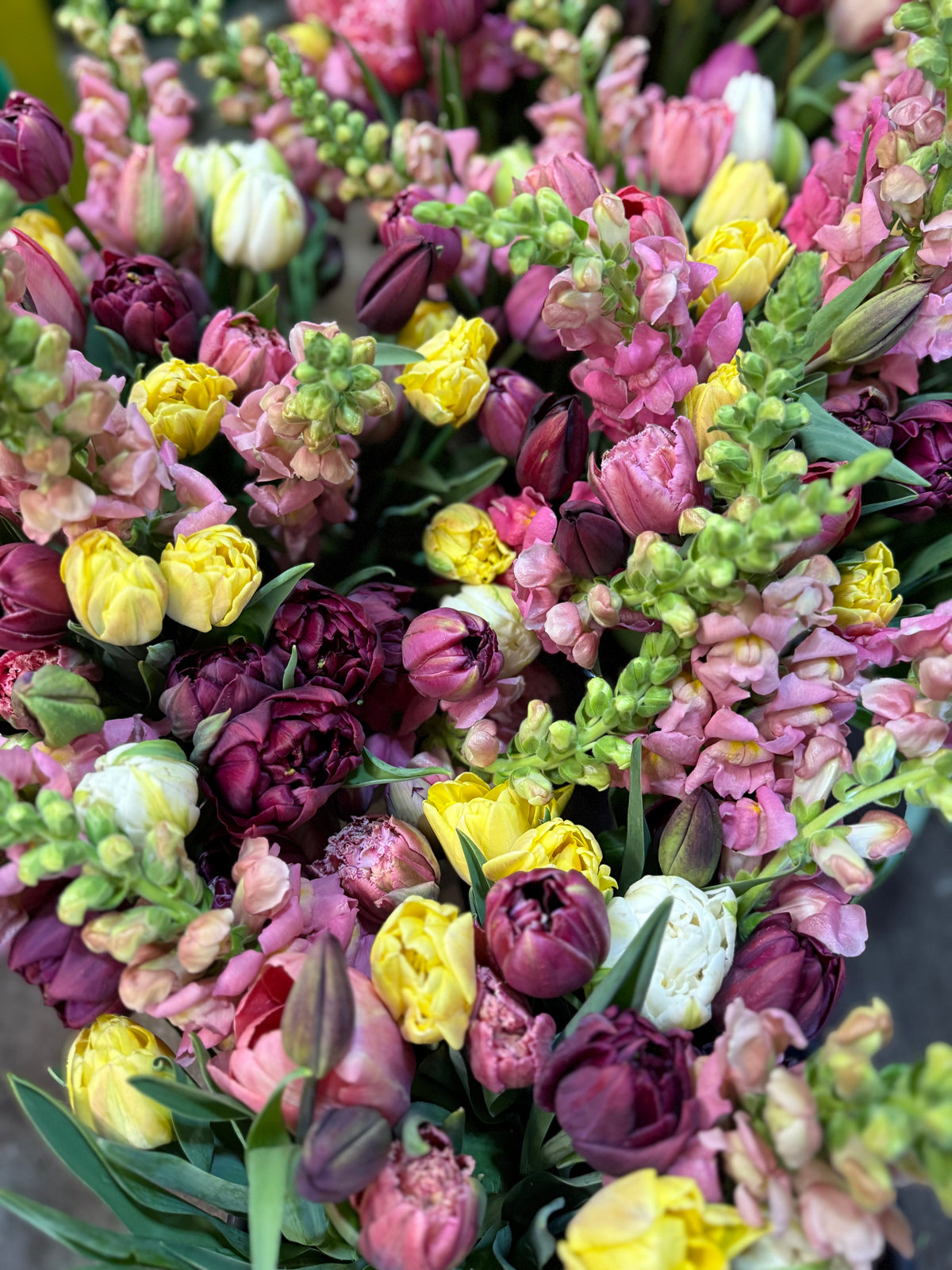 Mother's Day Edition - Full Season of Hard Scrabble Bouquets