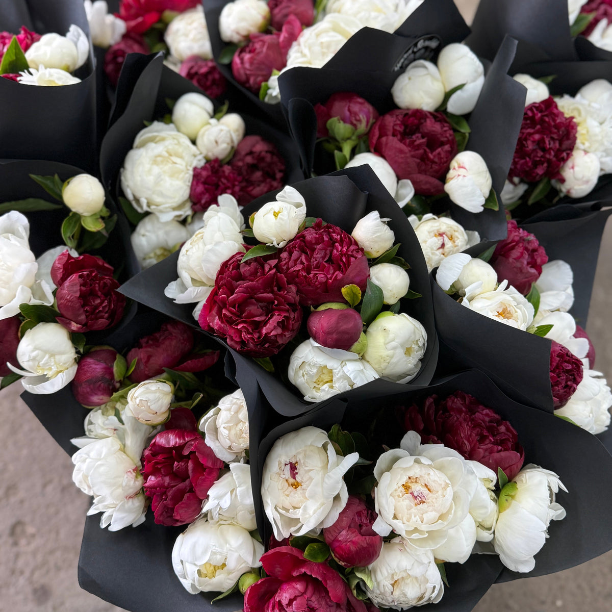 Peony Subscription - 2026