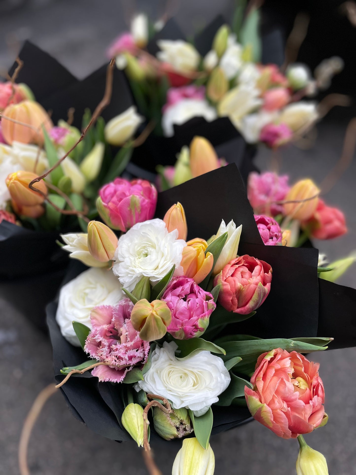 A Full Season of Hard Scrabble - 2026