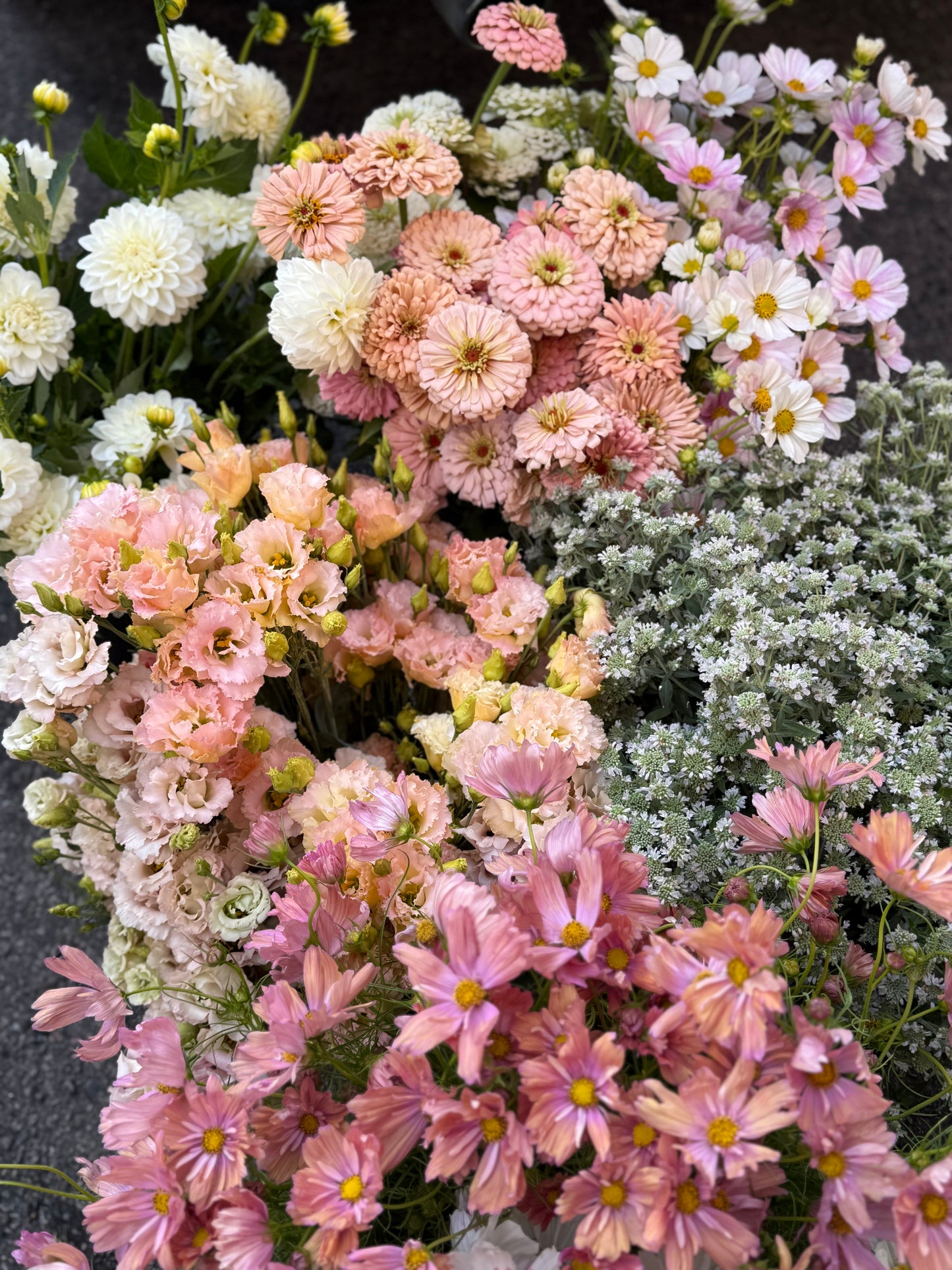 The Creator’s Bucket Subscription 2026