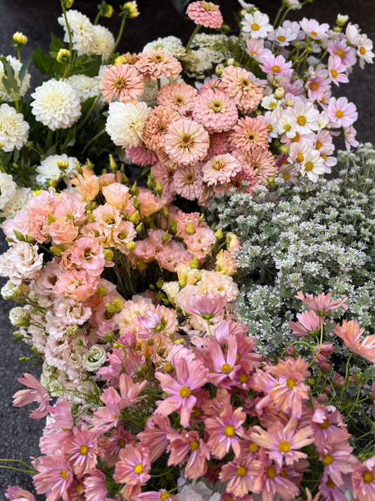 The Creator’s Bucket Subscription 2026