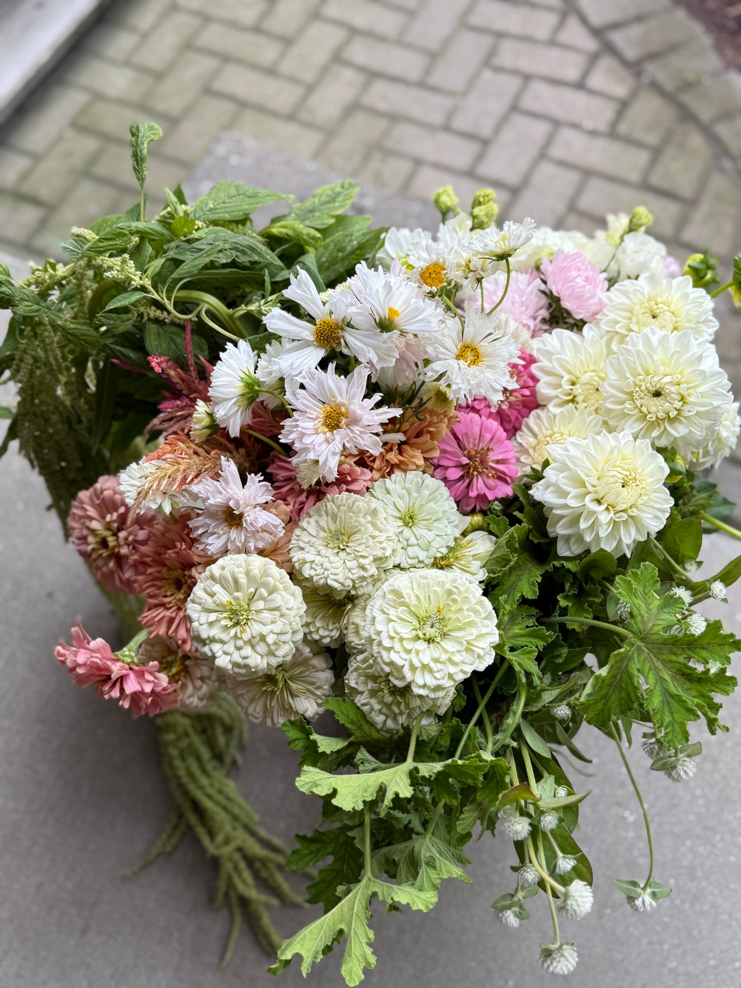 The Creator’s Bucket Subscription 2026