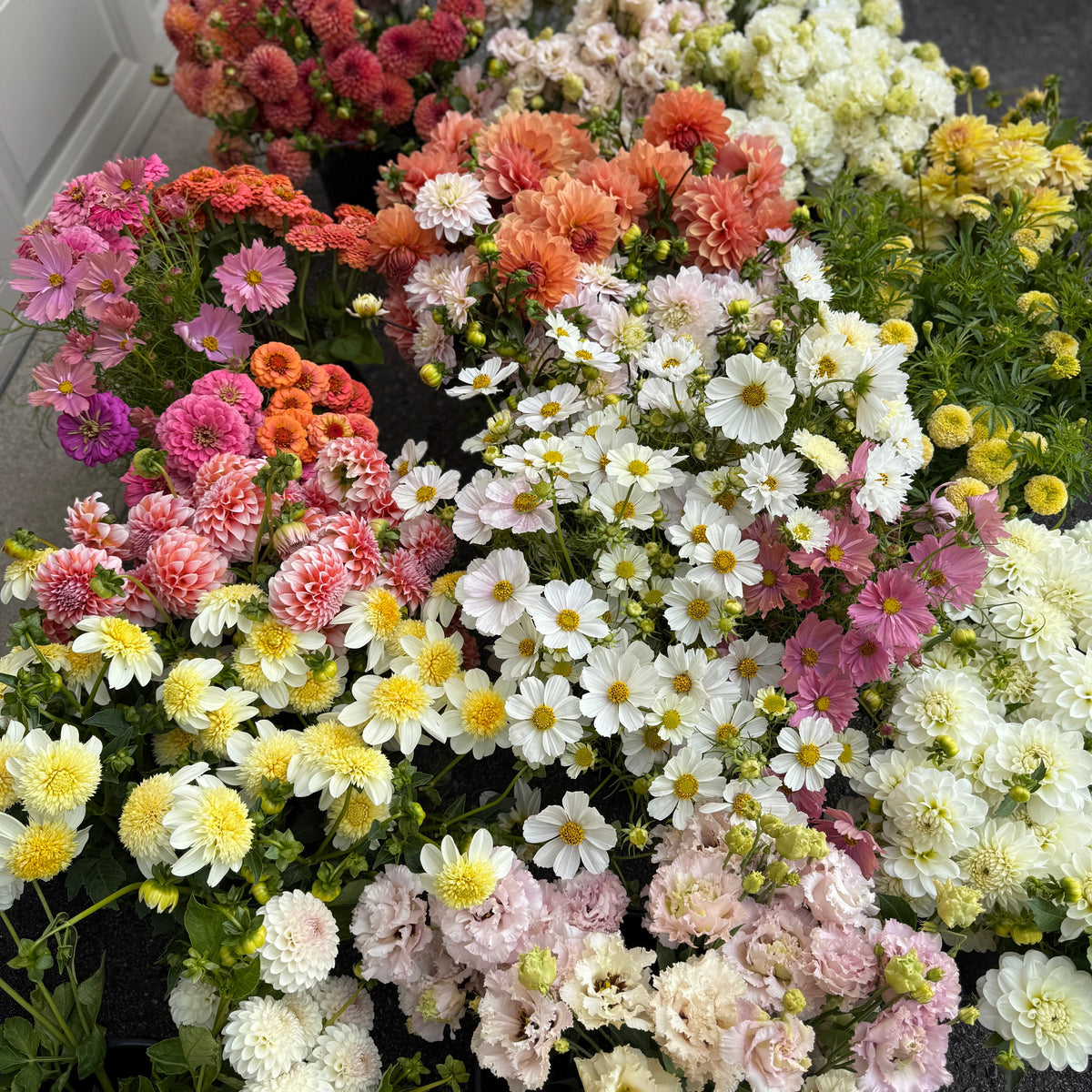 Mother's Day Edition - Full Season of Hard Scrabble Bouquets