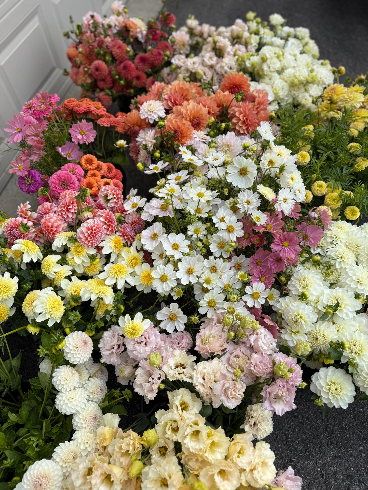 The Creator’s Bucket Subscription 2026