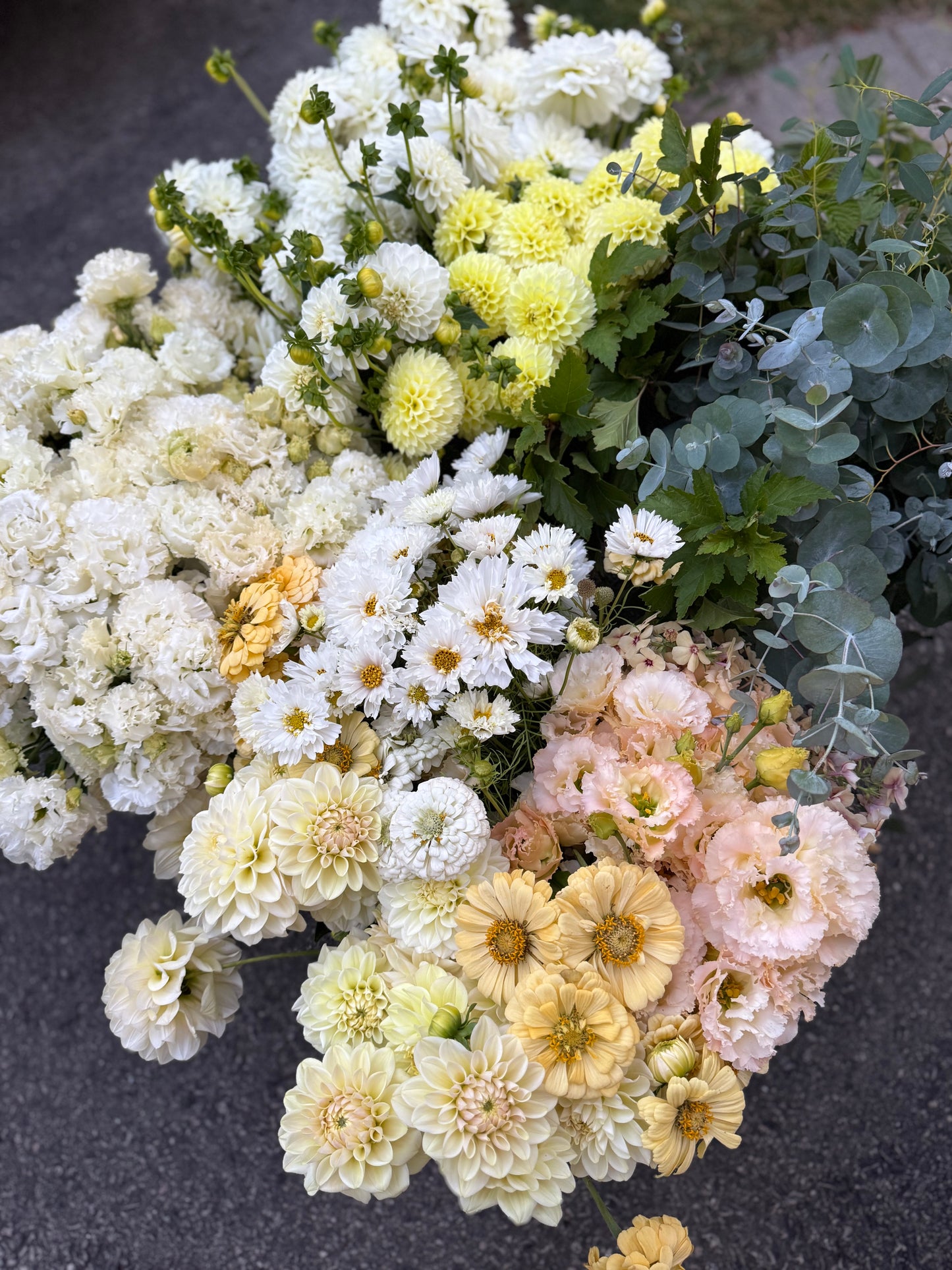 The Creator’s Bucket Subscription 2026