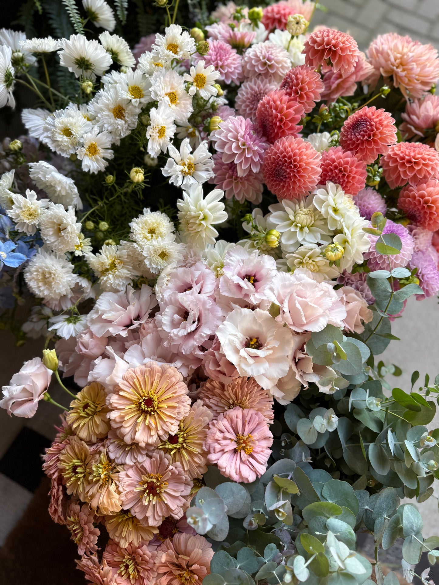 The Creator’s Bucket Subscription 2026