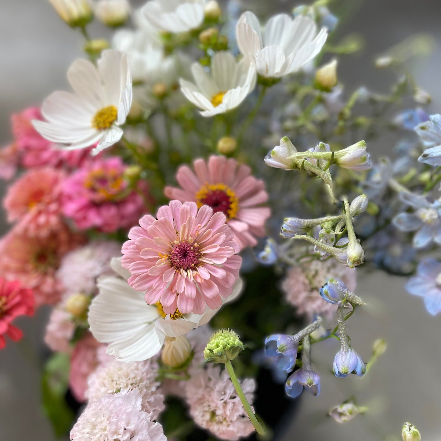 Pottery & Flowers - March 29th